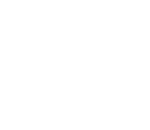 EPZ